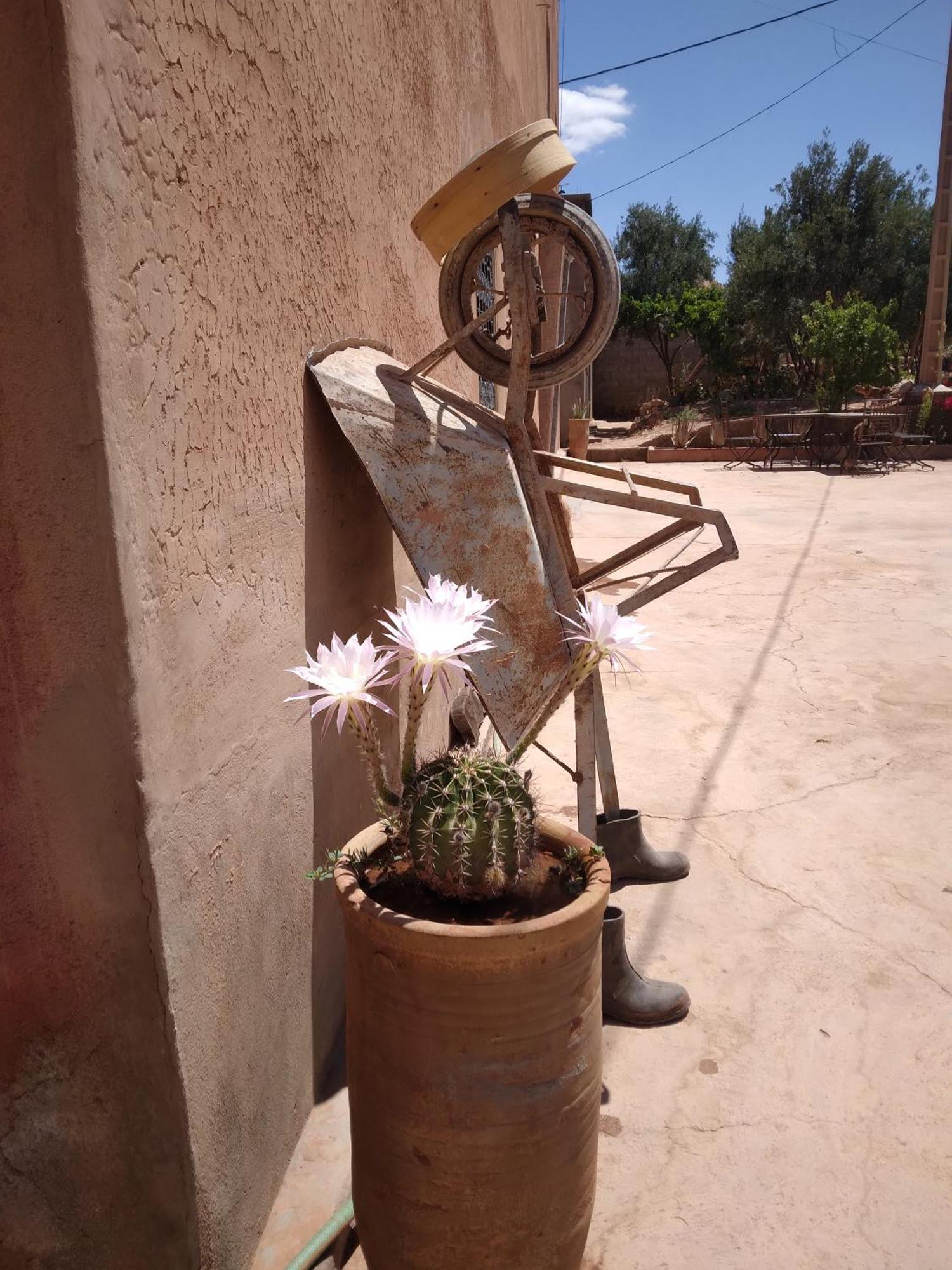 Hotel Dar Bilal Ait Benhaddou Exterior foto